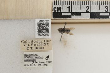 Media type: image;   Entomology 790800 Aspect: Labels